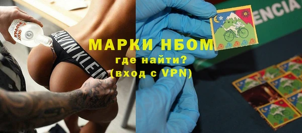 молекула духа Пересвет