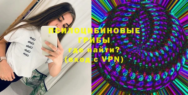 молекула духа Пересвет