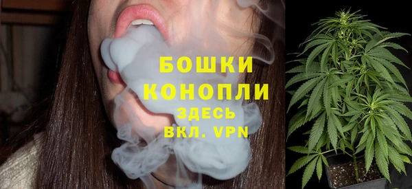ECSTASY Пестово