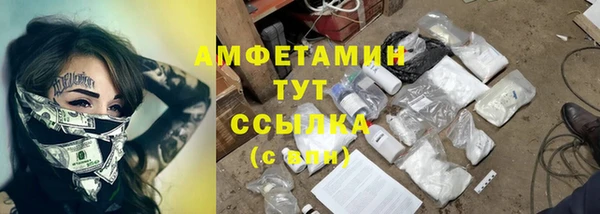 молекула духа Пересвет