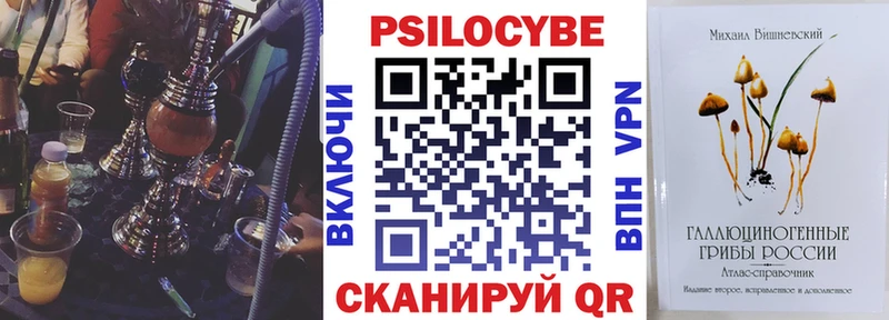 магазин  наркотиков  Кулебаки  Галлюциногенные грибы мицелий 