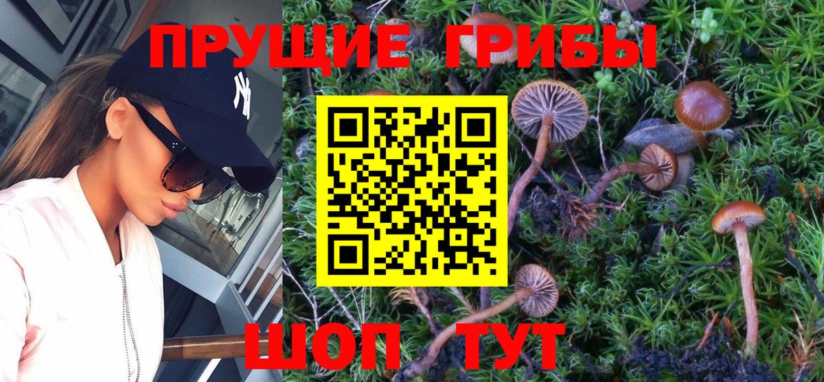 Кулебаки  Галлюциногенные грибы MAGIC MUSHROOMS  Псилоцибиновые грибы прущие грибы  Вход с VPN 