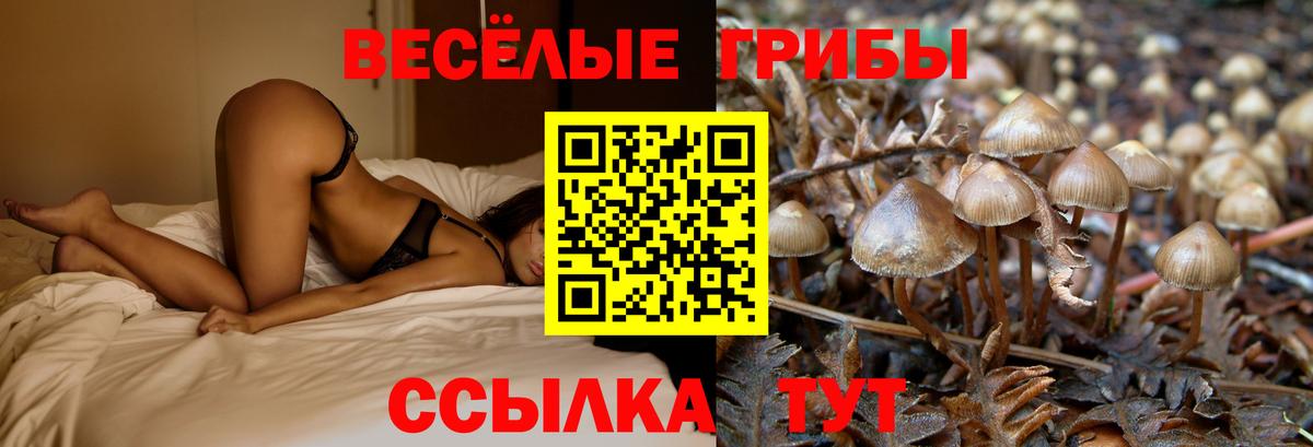 Псилоцибиновые грибы MAGIC MUSHROOMS Кулебаки